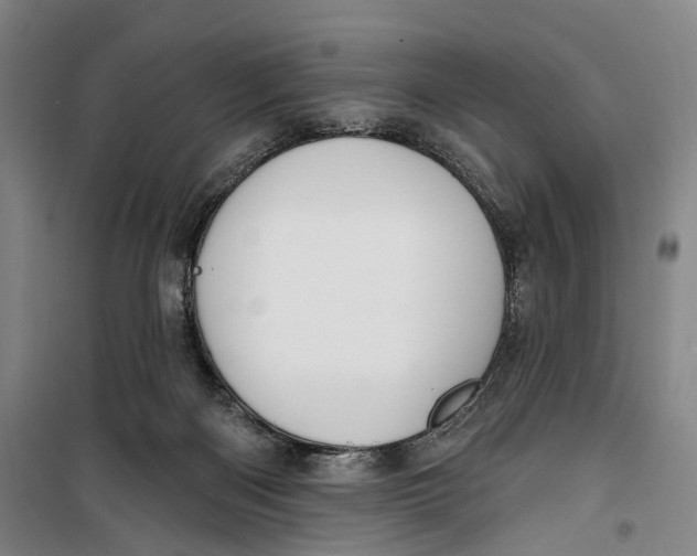 X0000099560122200806061548