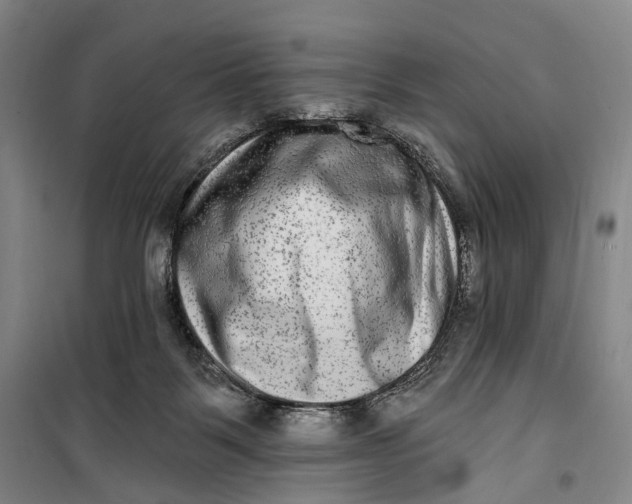 X0000099560123200806061548