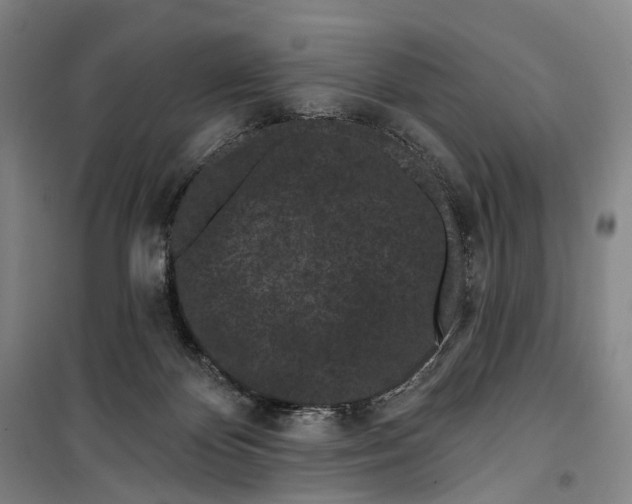 X0000099560124200806061548