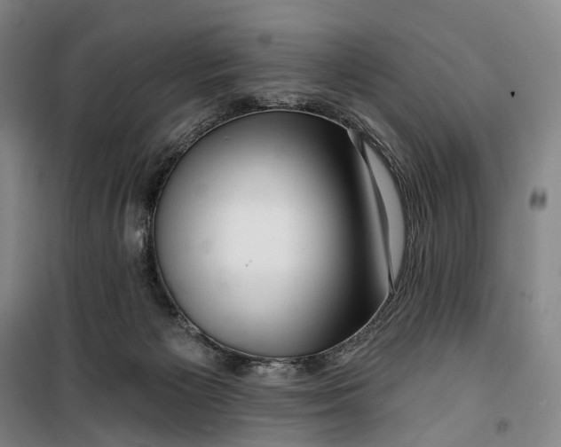 X0000099560125200806061548