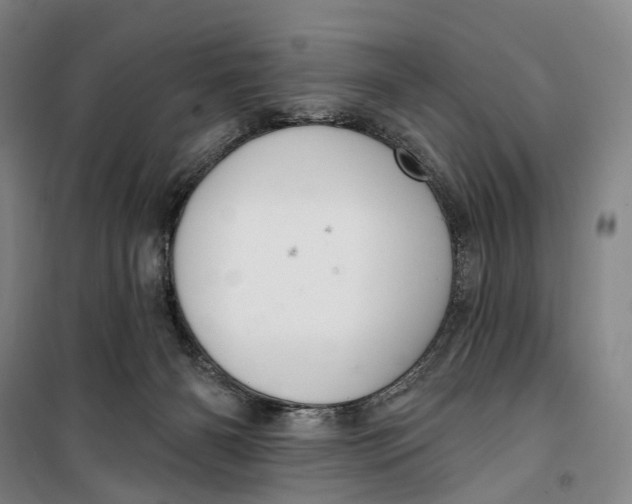 X0000099560126200806061548