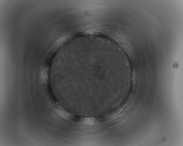 X0000099560127200806061548