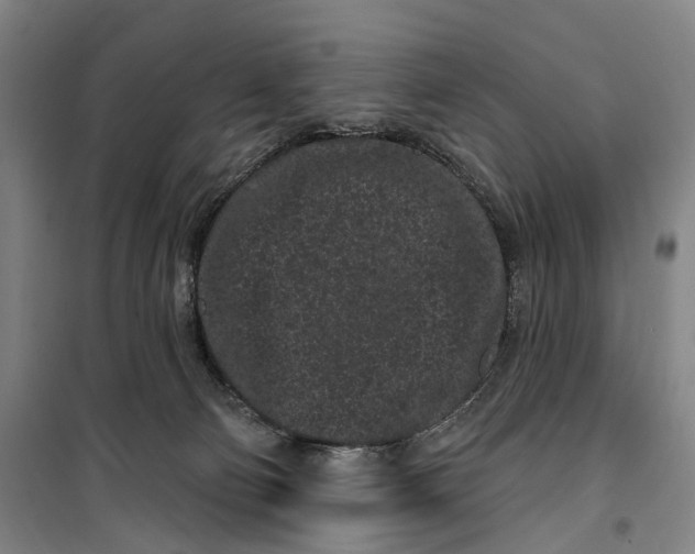 X0000099560130200806061548