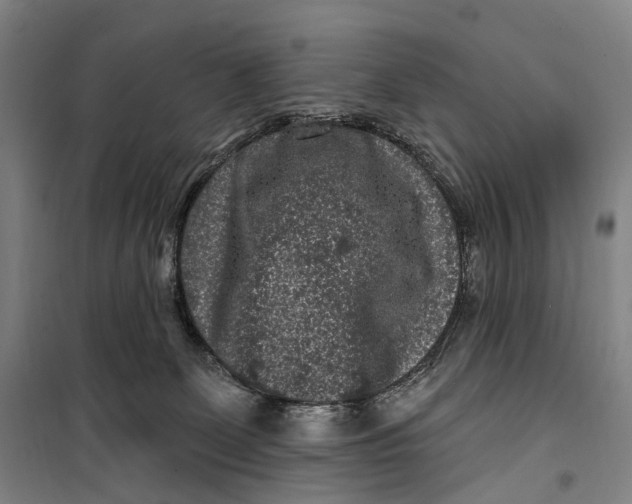 X0000099560131200806061548