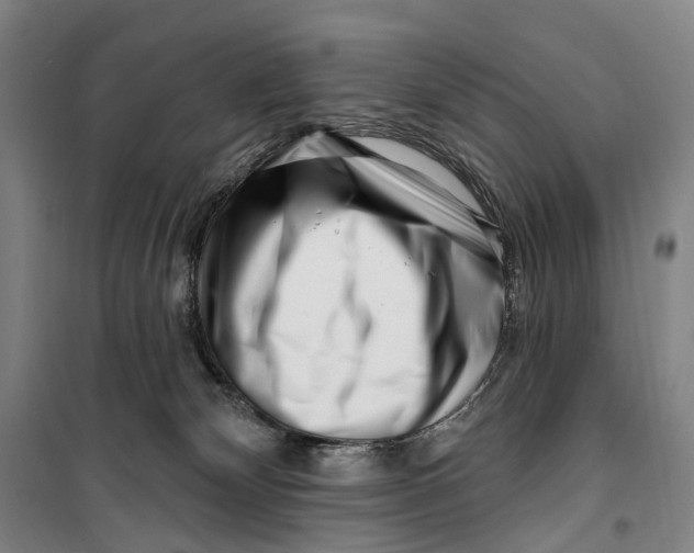 X0000099560132200806061548