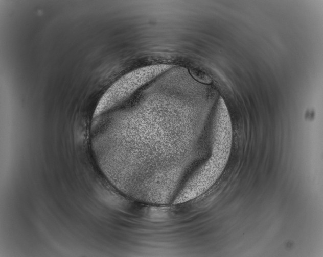 X0000099560134200806061548