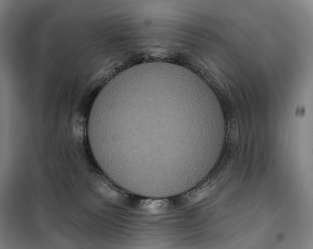 X0000099560135200806061548