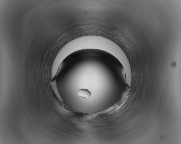 X0000099560136200806061548