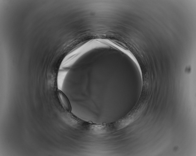 X0000099560139200806061548