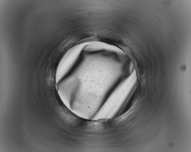 X0000099560140200806061548