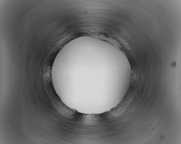 X0000099560141200806061548