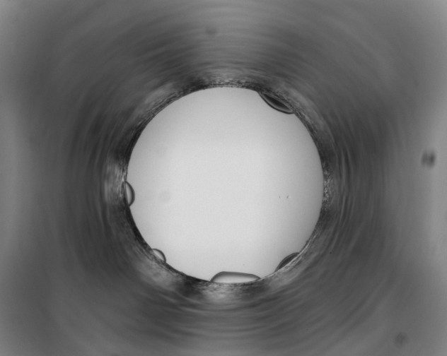 X0000099560142200806061548