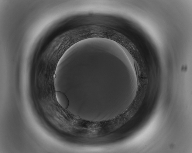 X0000099560143200806061548