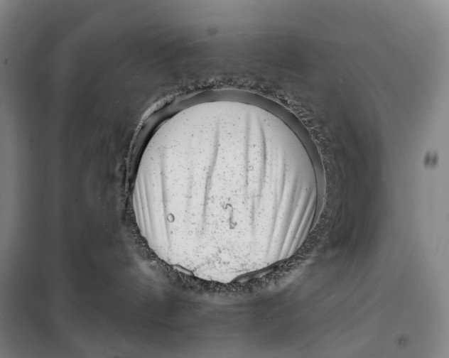 X0000099560144200806061548