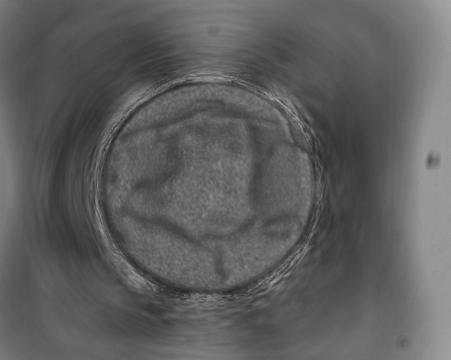 X0000099560145200806061547