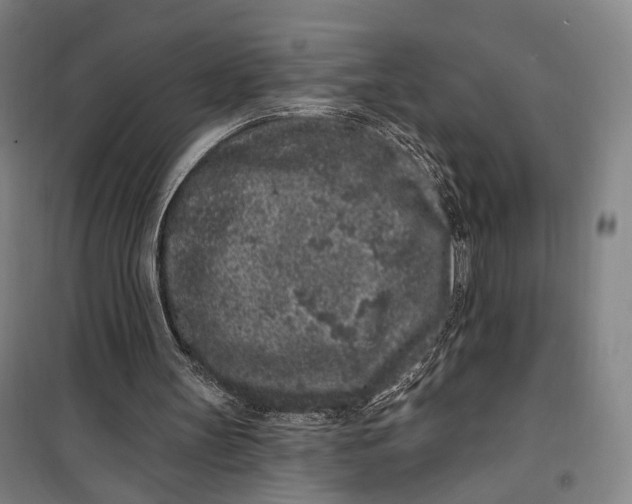 X0000099560147200806061547