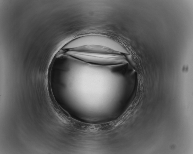 X0000099560148200806061547