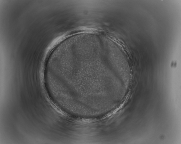 X0000099560149200806061547