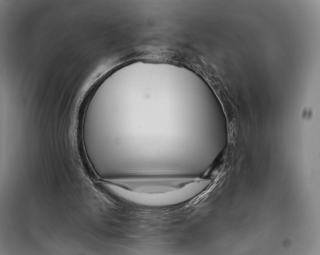 X0000099560150200806061547