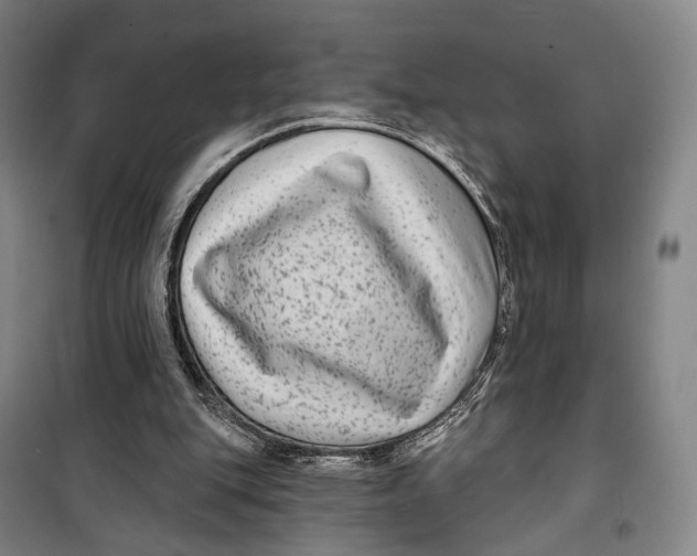 X0000099560151200806061547