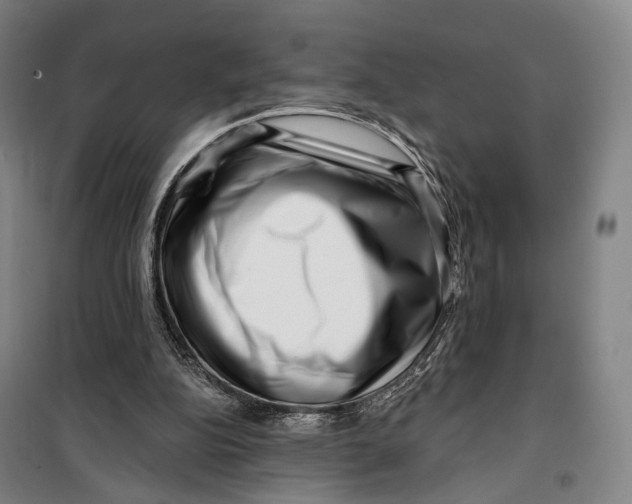 X0000099560152200806061547