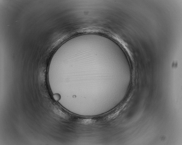 X0000099560153200806061547