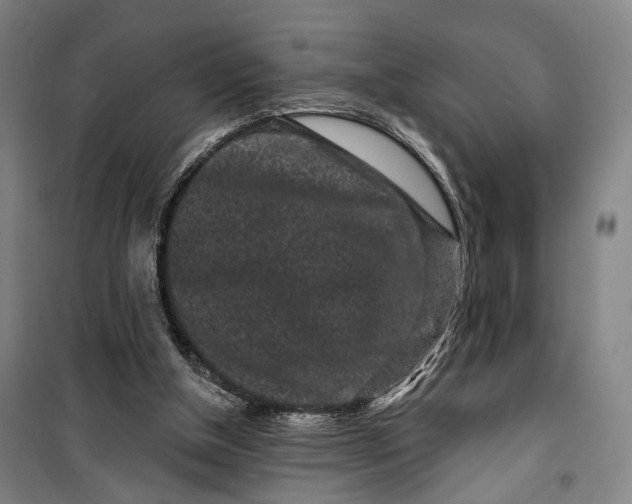 X0000099560154200806061547