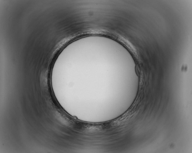 X0000099560155200806061547