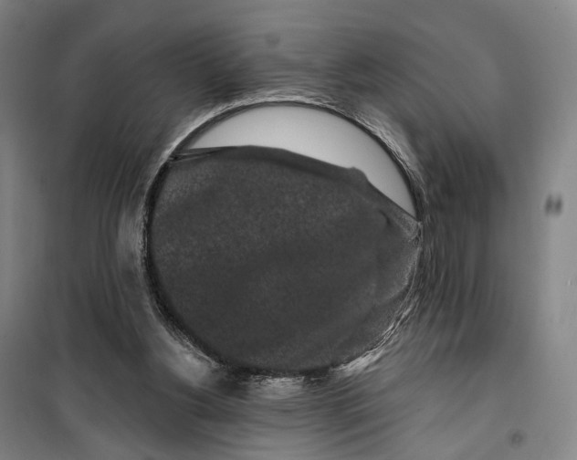 X0000099560156200806061547