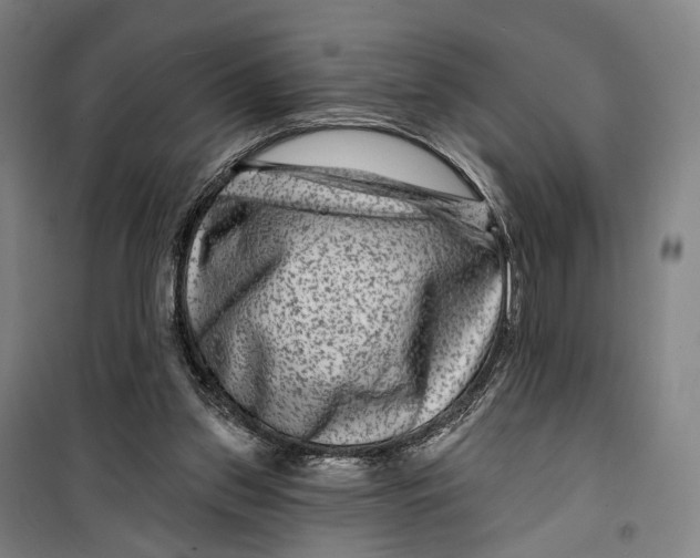 X0000099560157200806061547