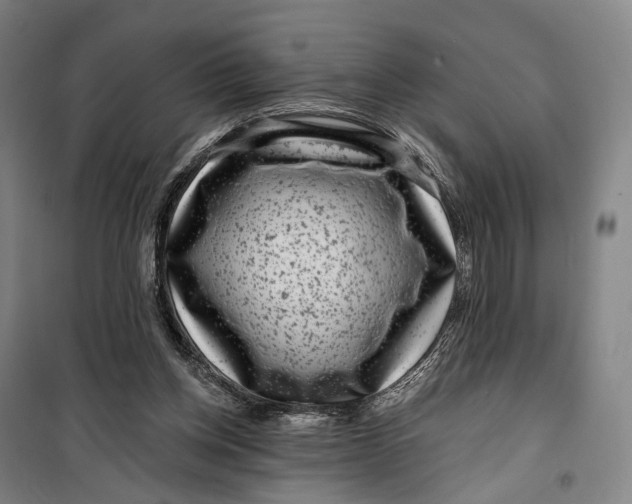 X0000099560158200806061547