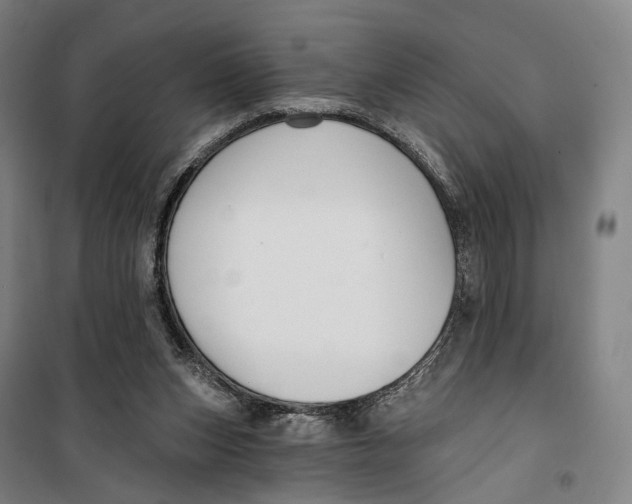 X0000099560159200806061547