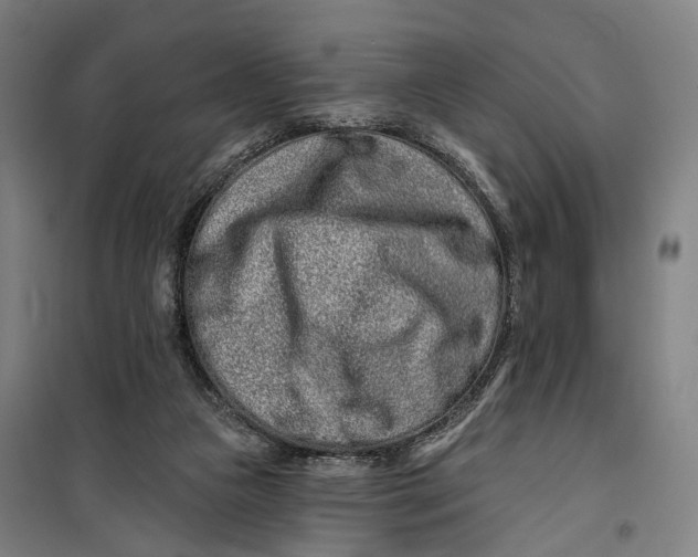 X0000099560161200806061547