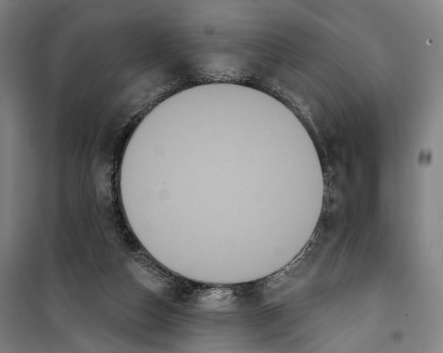 X0000099560162200806061547