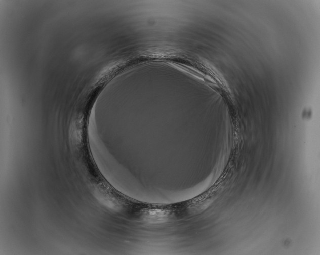 X0000099560163200806061548