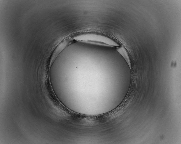 X0000099560164200806061548