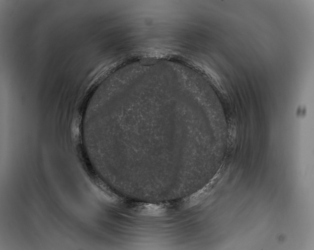 X0000099560166200806061548