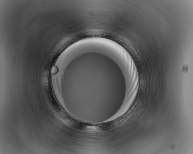 X0000099560167200806061548