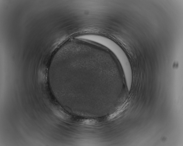 X0000099560168200806061548