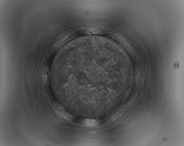 X0000099560169200806061548