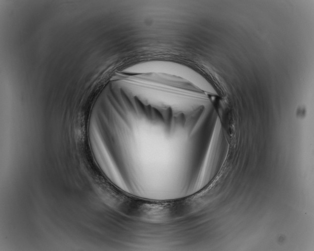 X0000099560170200806061548