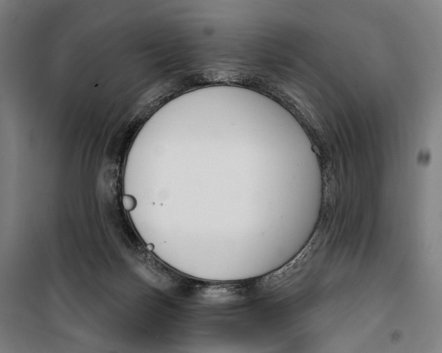 X0000099560171200806061548