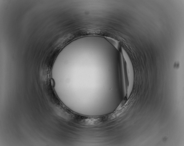 X0000099560172200806061548