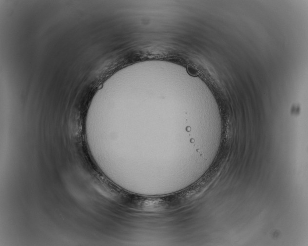 X0000099560173200806061548