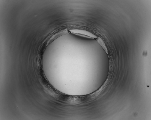 X0000099560174200806061548