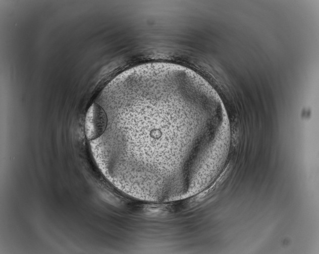 X0000099560175200806061548