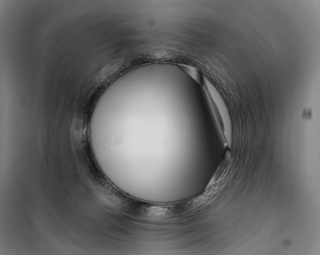 X0000099560176200806061548