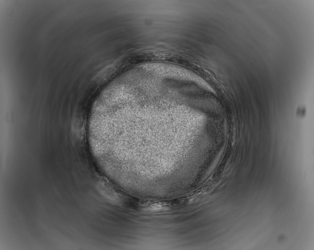 X0000099560177200806061548