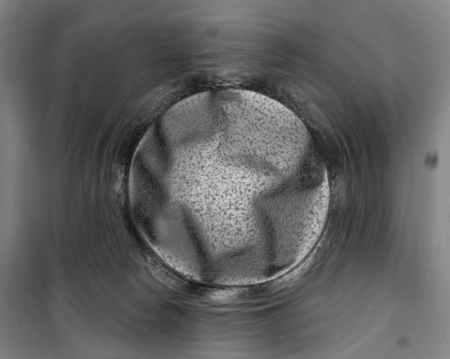 X0000099560178200806061548