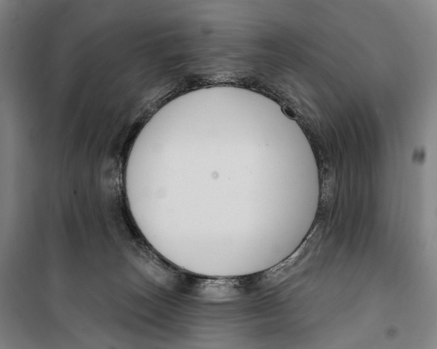 X0000099560179200806061548